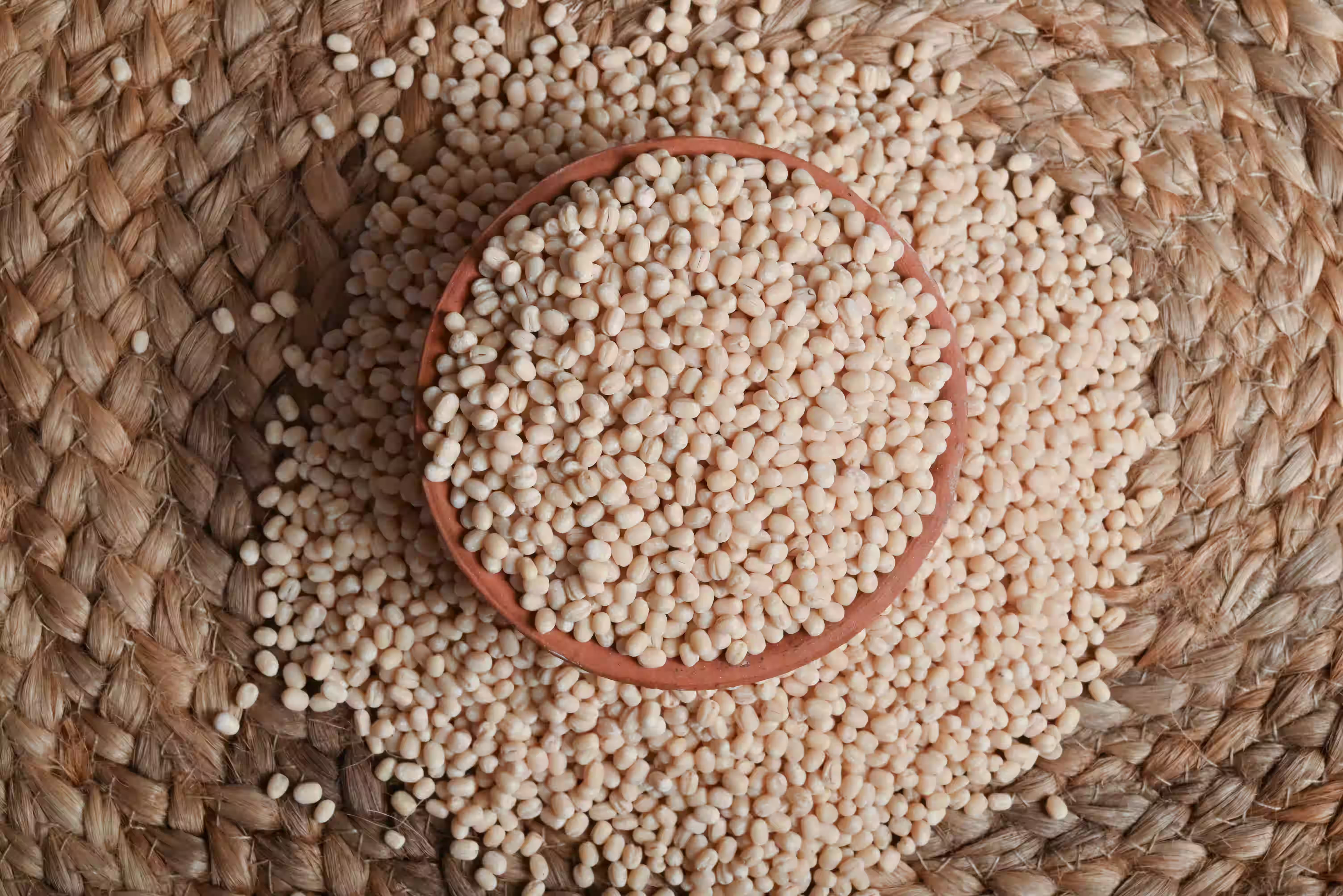Buhler Sortex Technology for Urad Dal processing