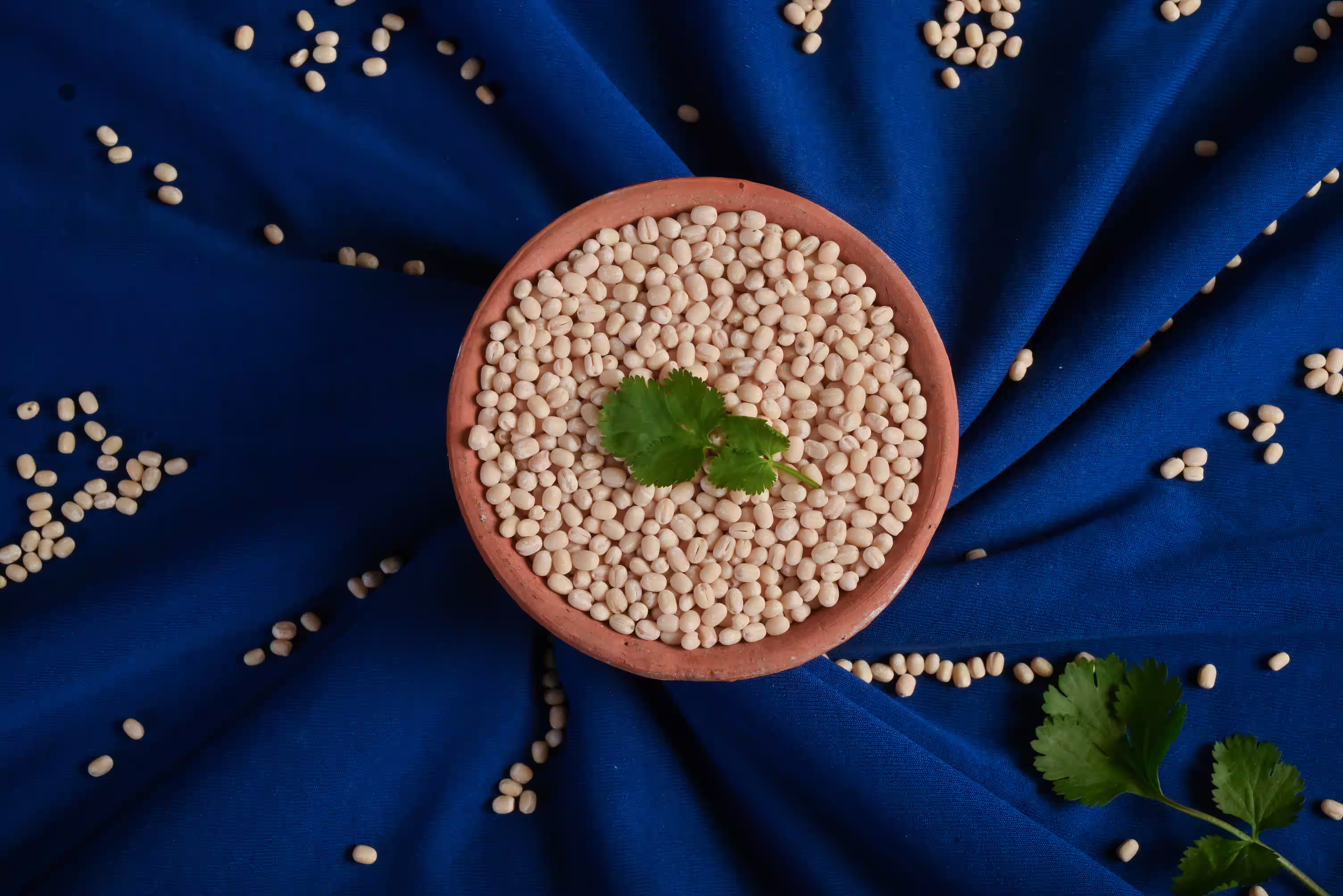 Premium wholesale urad dal grains closeup from Indian exporter