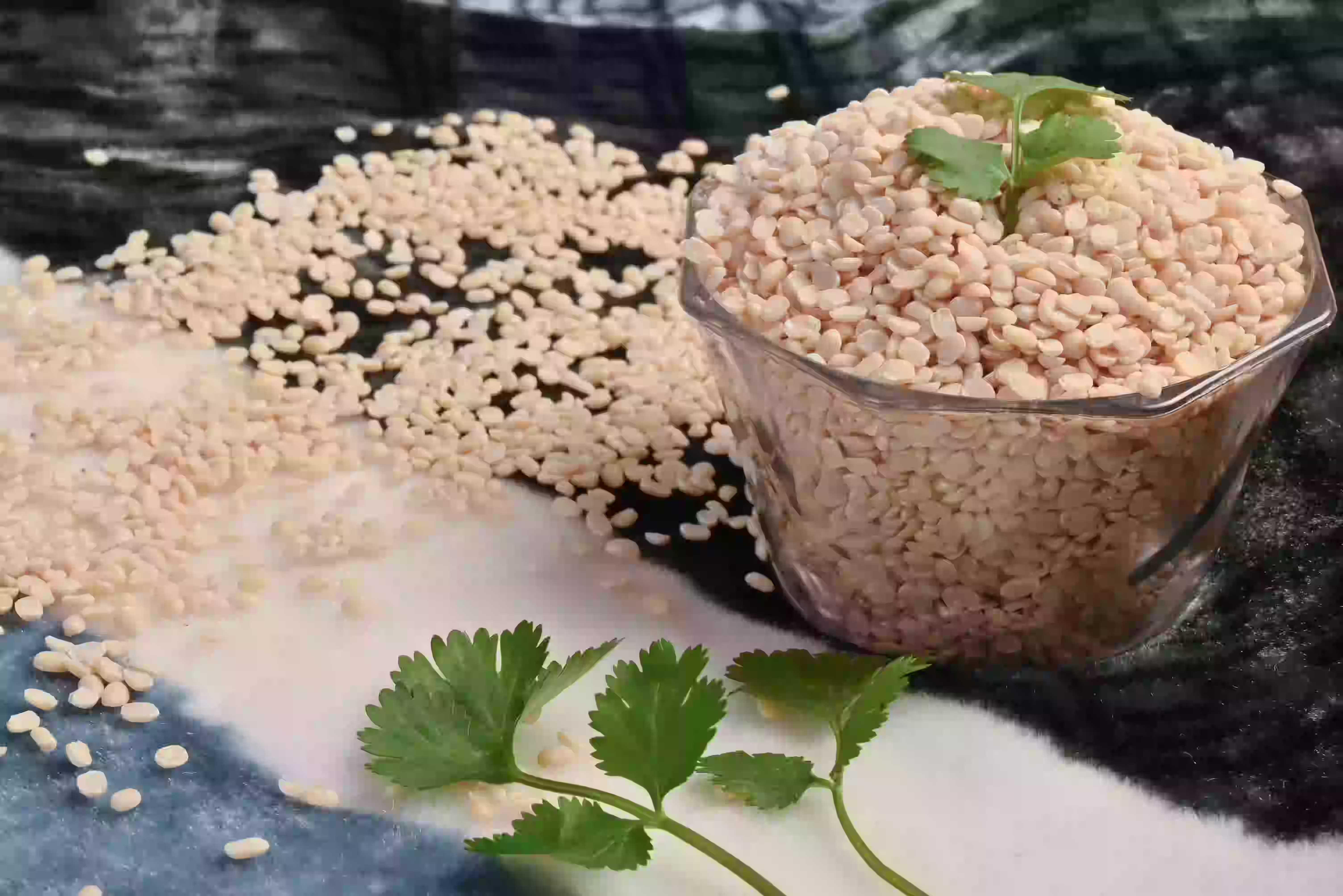 Wholesale Split White Urad Dal Supplier