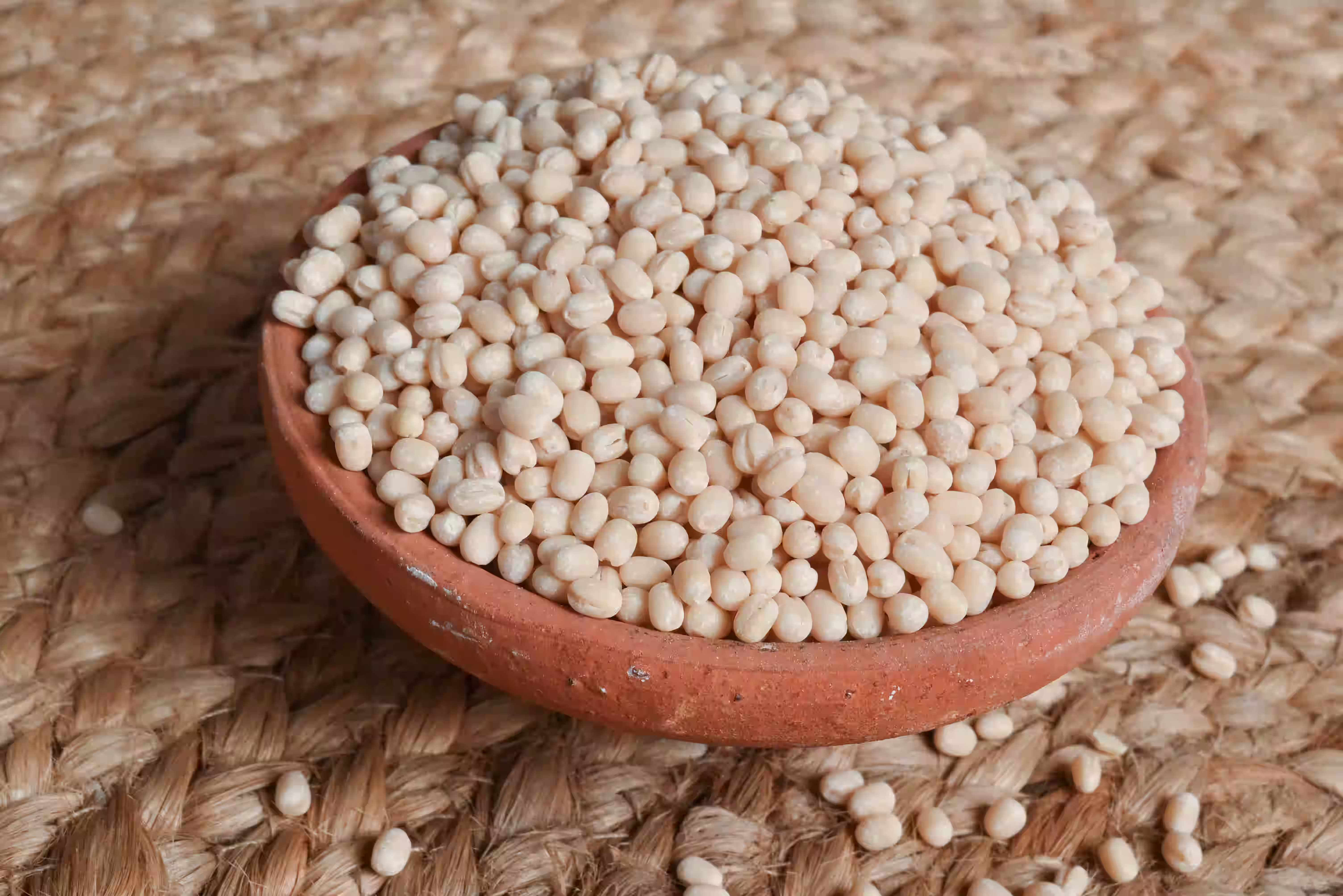 Lab testing for FSSAI certified urad dal